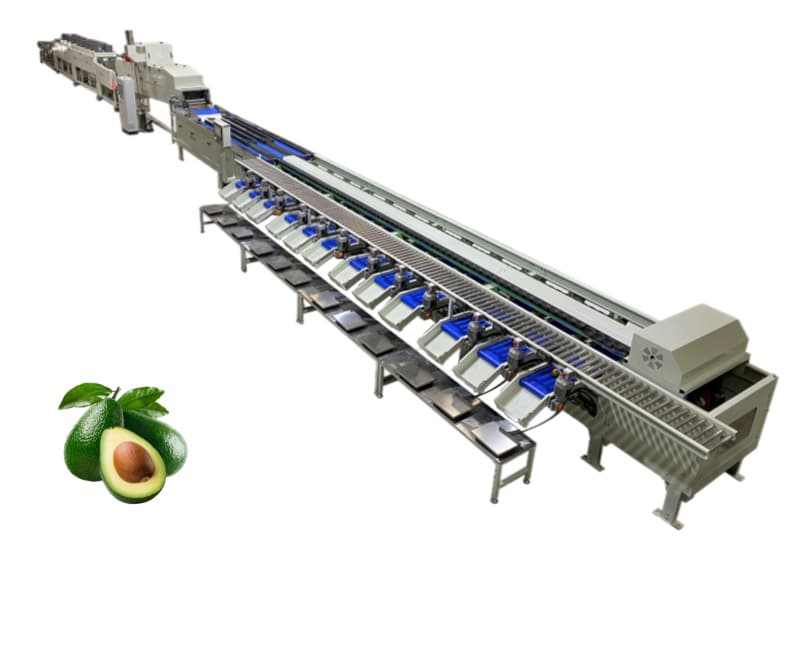 images/1672818697816fruit cleaning sorting packing line 拷贝2.jpg
